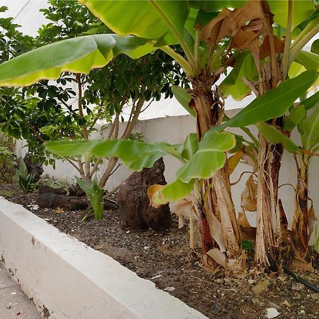 San AgustínPippa'S House公寓 外观 照片