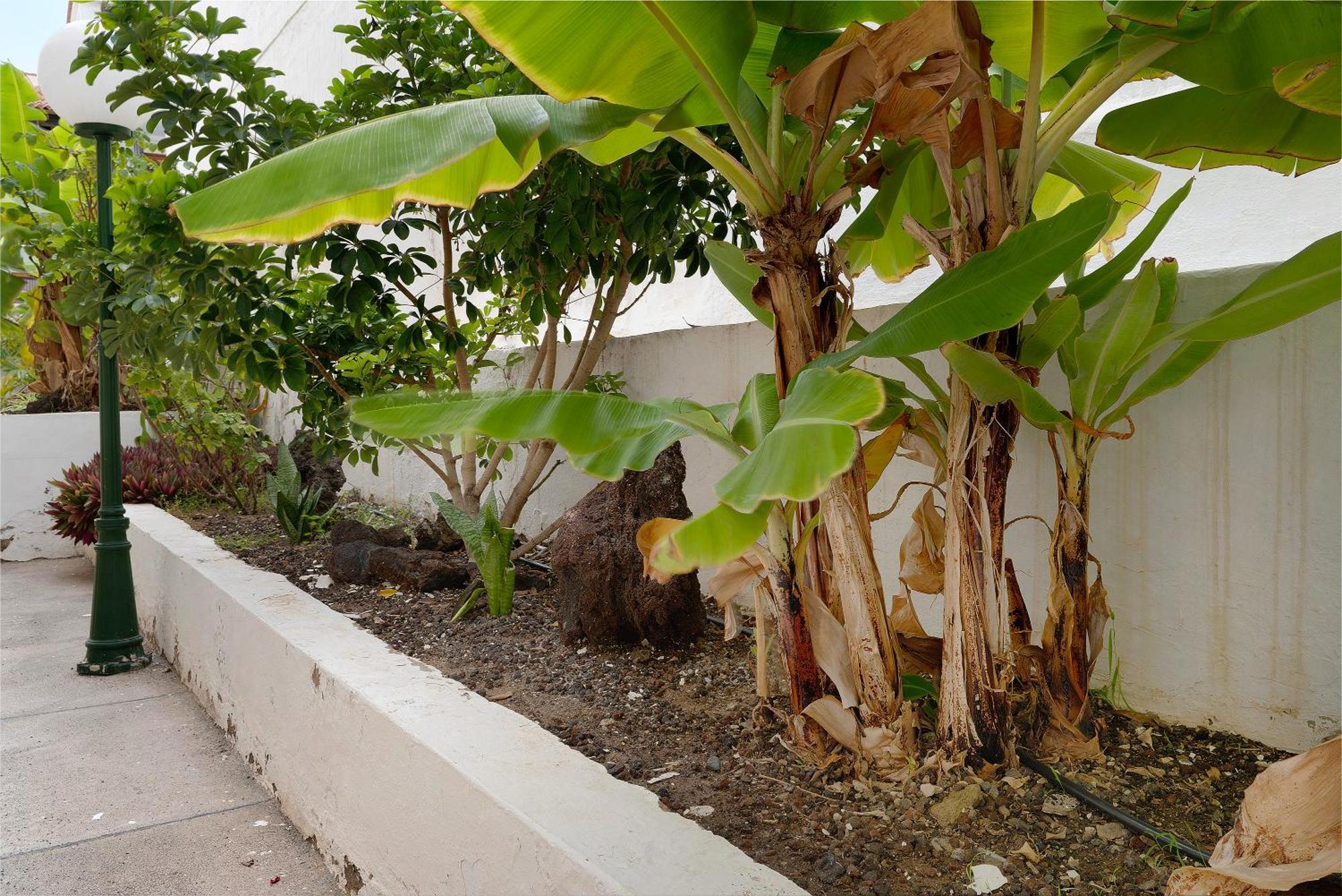 San AgustínPippa'S House公寓 外观 照片